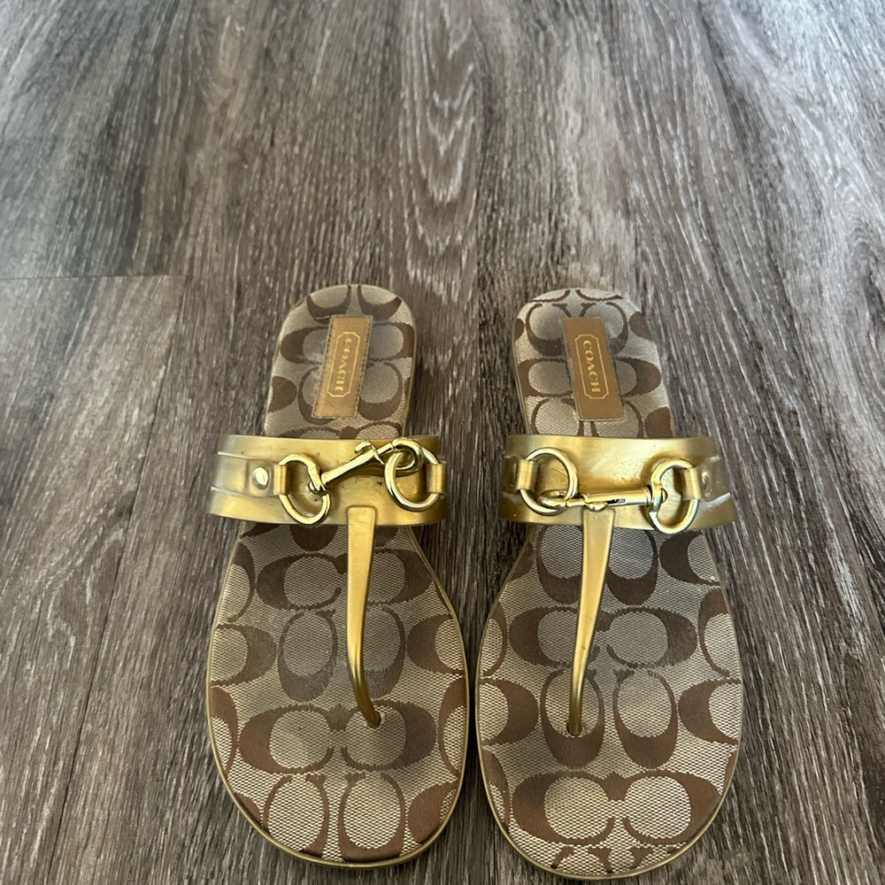 Coach Gold and Brown Sandals